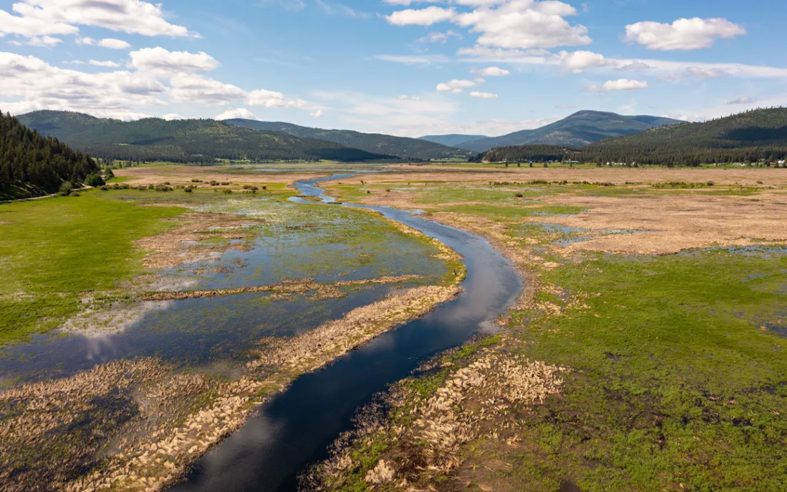 How Montana's Constitution Laid the Groundwork for a Landmark 